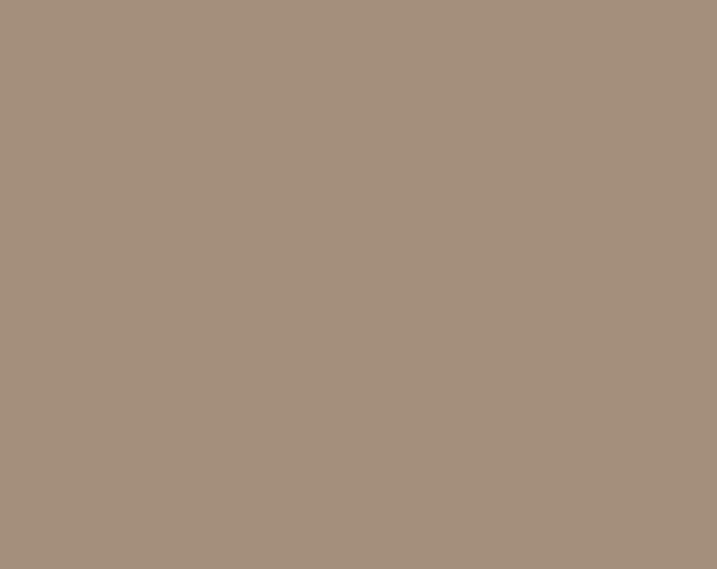 Army Paint Desert RAL 1019