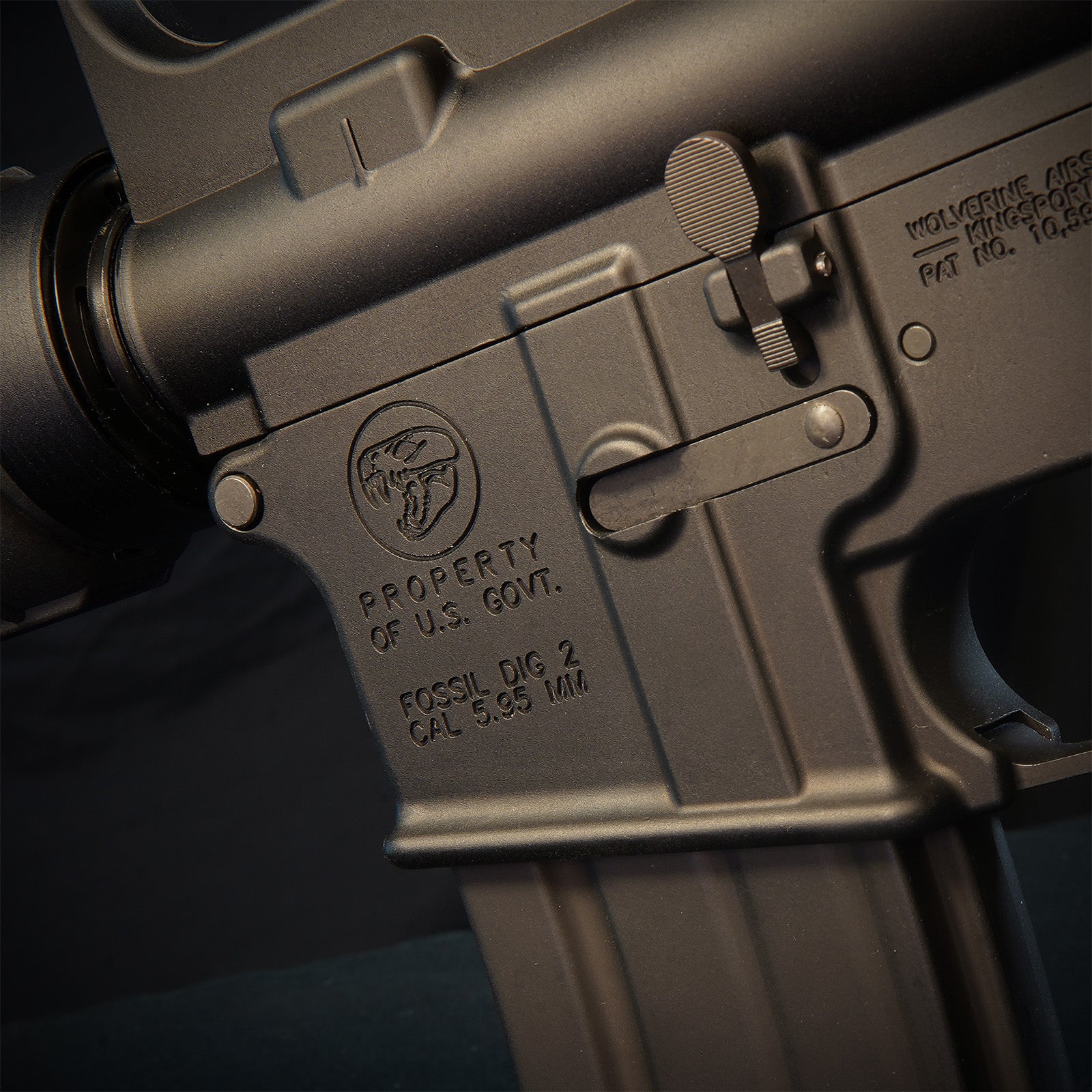 MTW Fossil Collection: Dig 2 (XM177)