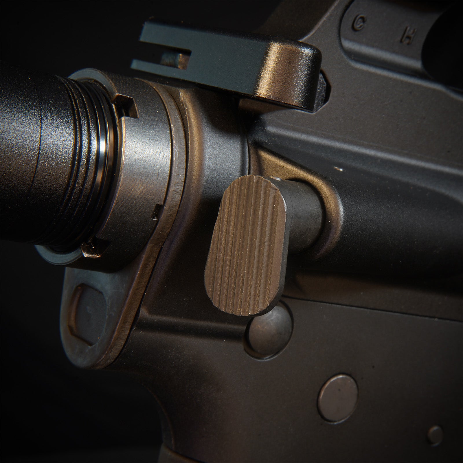 MTW Fossil Collection: Dig 2 (XM177)