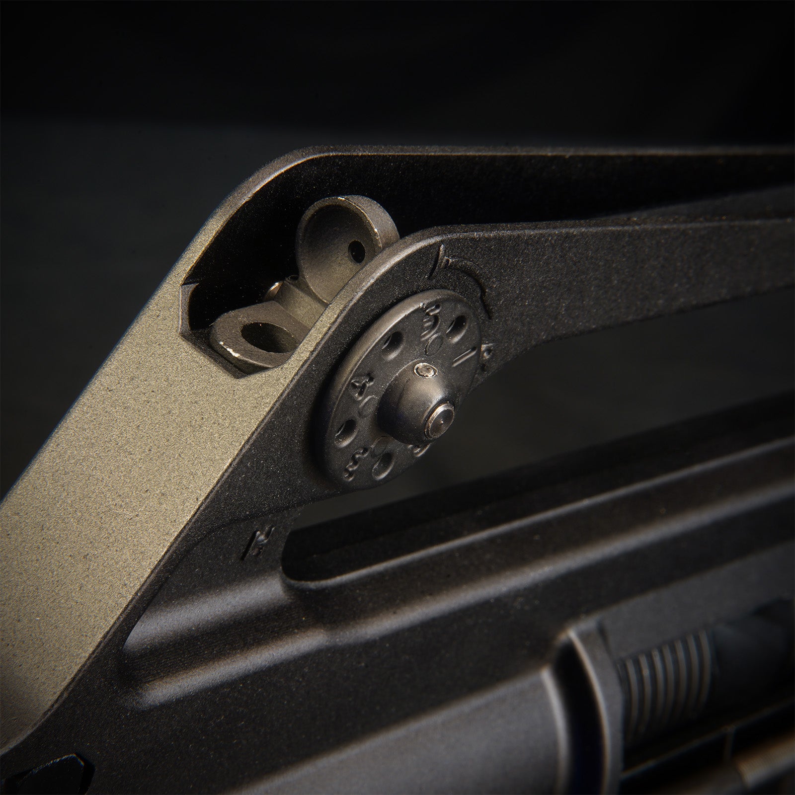 MTW Fossil Collection: Dig 2 (XM177)