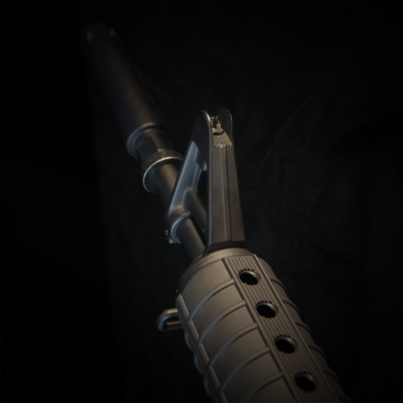 MTW Fossil Collection: Dig 2 (XM177)