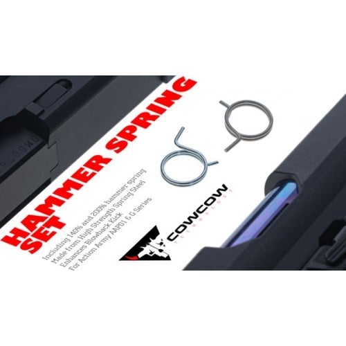AAP-01 Upgrade Hammer Spring Set