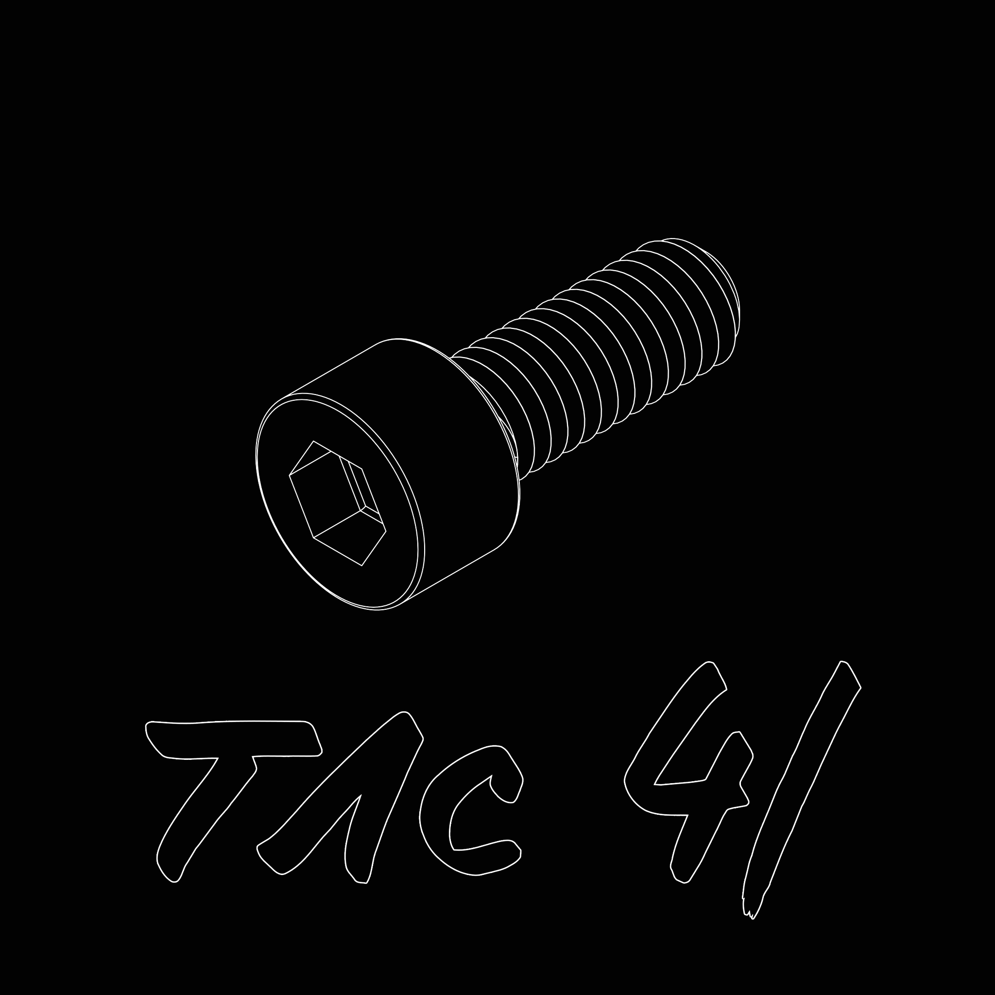 TAC 41 Screw Set