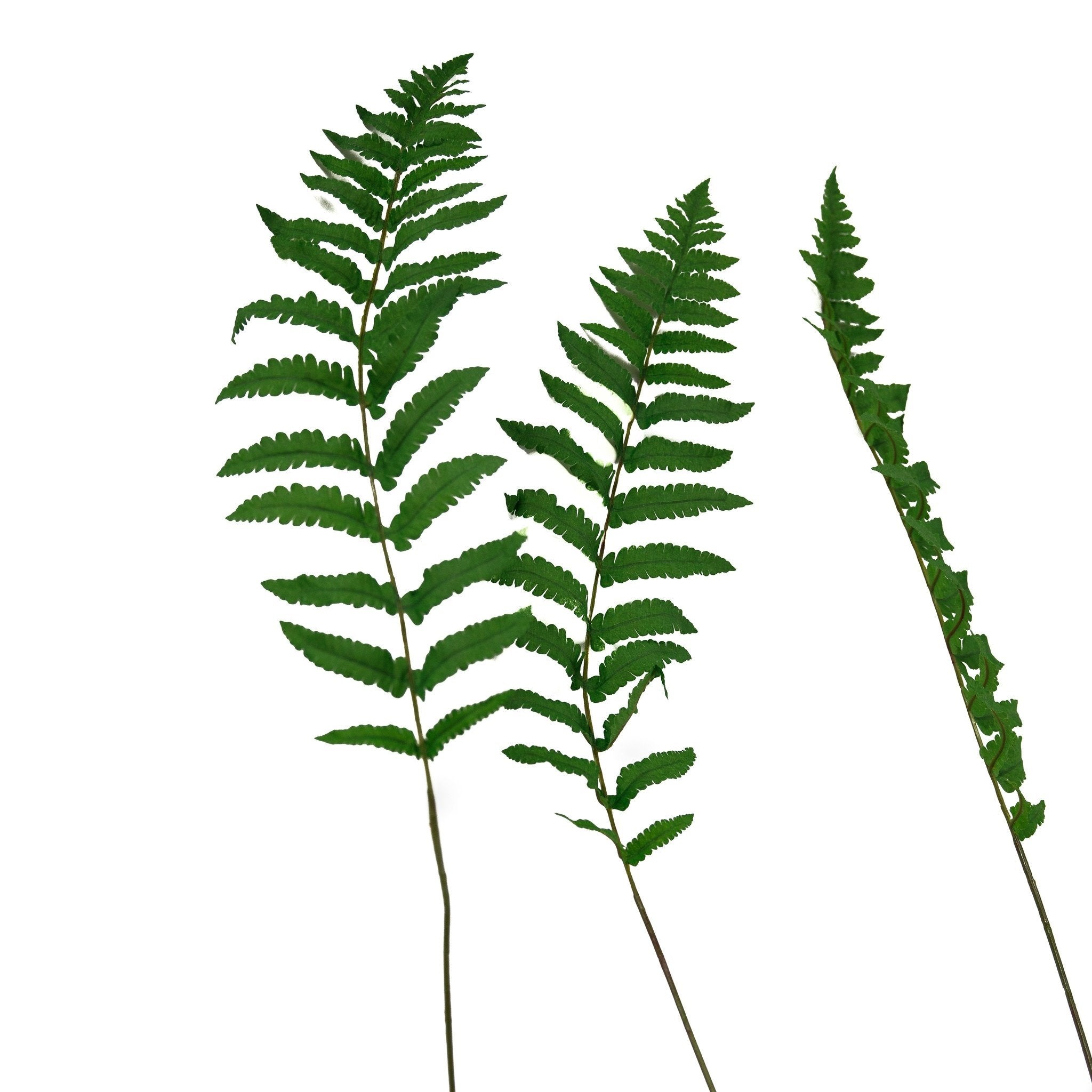 High Quality Artificial Long Silk Ferns (3-Pieces)