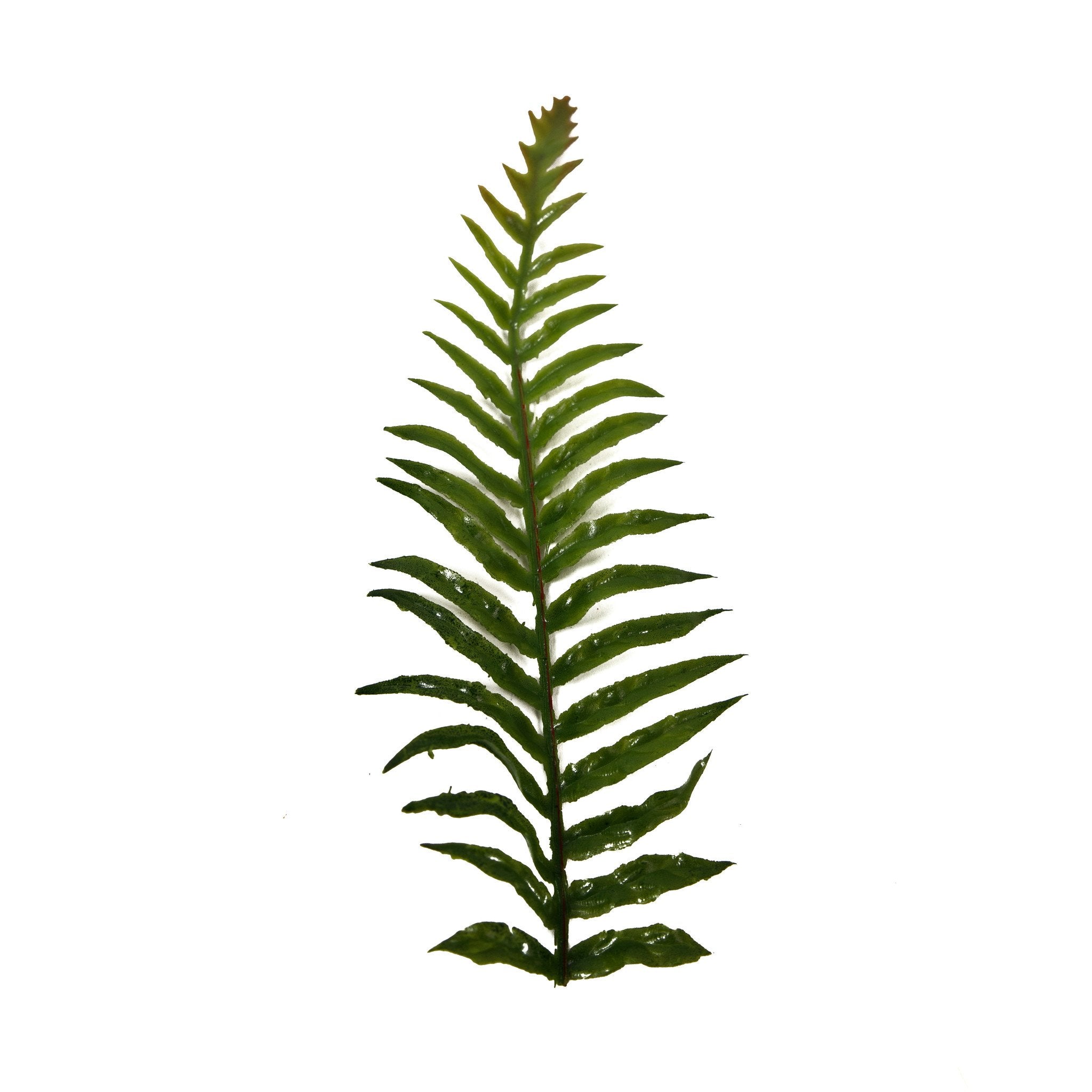 High Quality Artificial Ferns