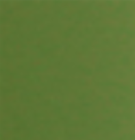 Peinture militaire vert Vietnam