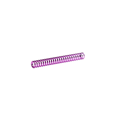 AAP-01 "Ion" Recoil Spring