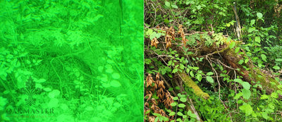 Positive Space Modules Covert Green 5