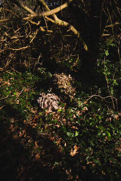 Brown Oak Leaf Suit