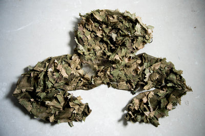Viper Hood - Alder