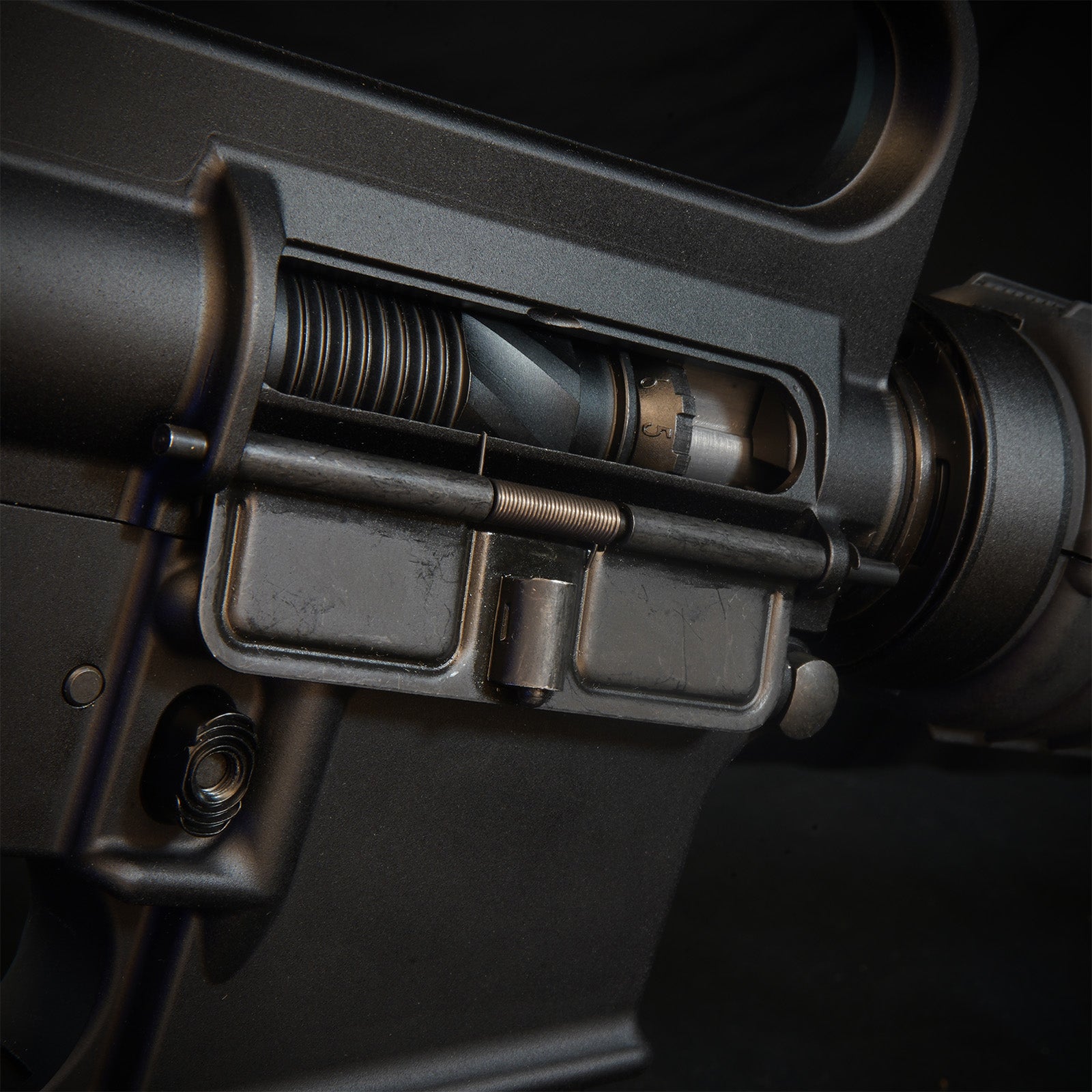 MTW Fossil Collection: Dig 2 (XM177)