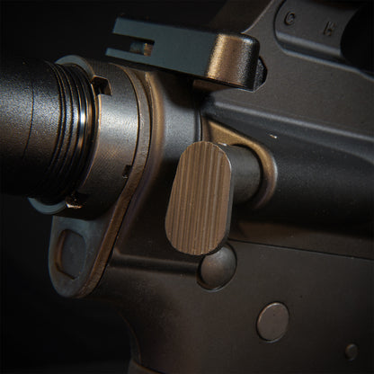 MTW Fossil Collection: Dig 2 (XM177)