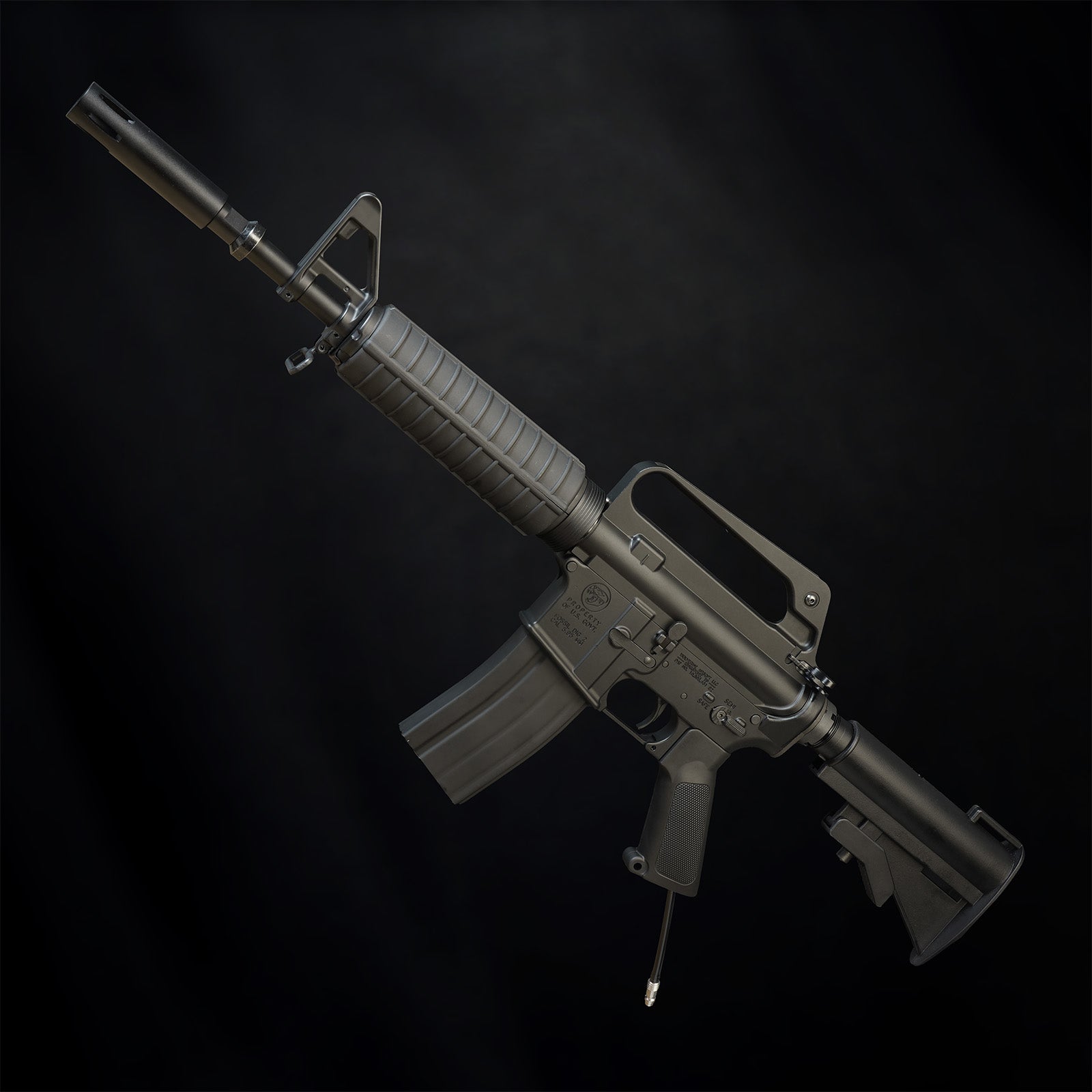 MTW Fossil Collection: Dig 2 (XM177)