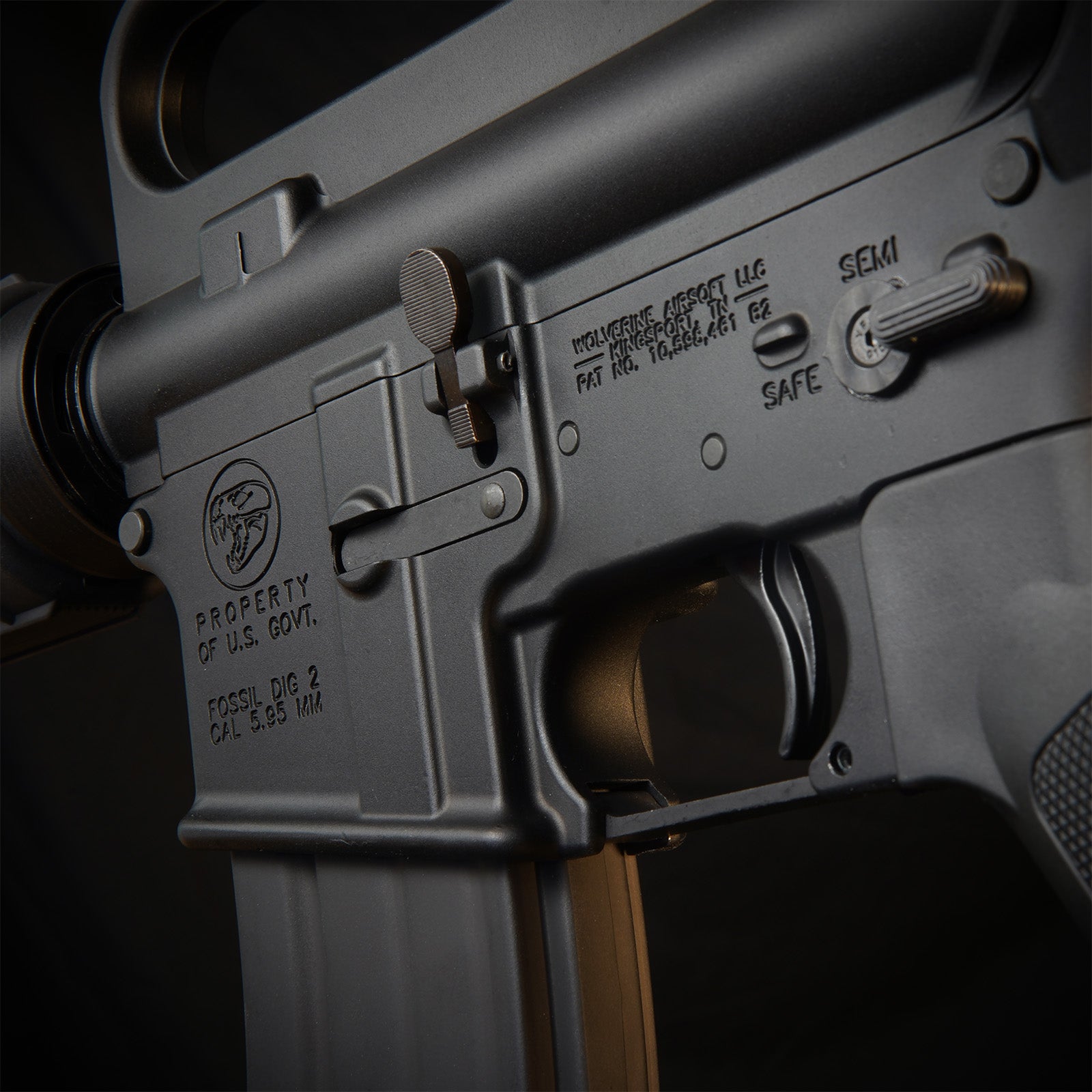 MTW Fossil Collection: Dig 2 (XM177)