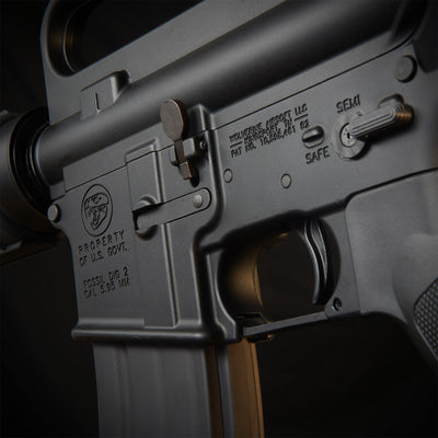 MTW Fossil Collection: Dig 2 (XM177)