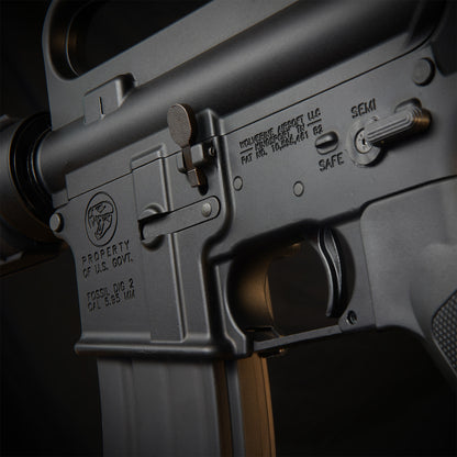 MTW Fossil Collection: Dig 2 (XM177)