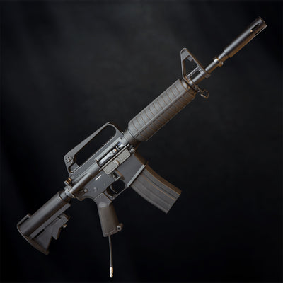 MTW Fossil Collection: Dig 2 (XM177)