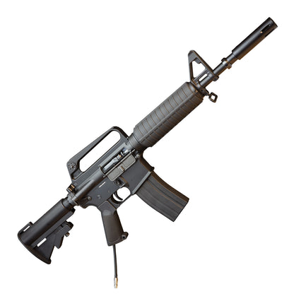 MTW Fossil Collection: Dig 2 (XM177)