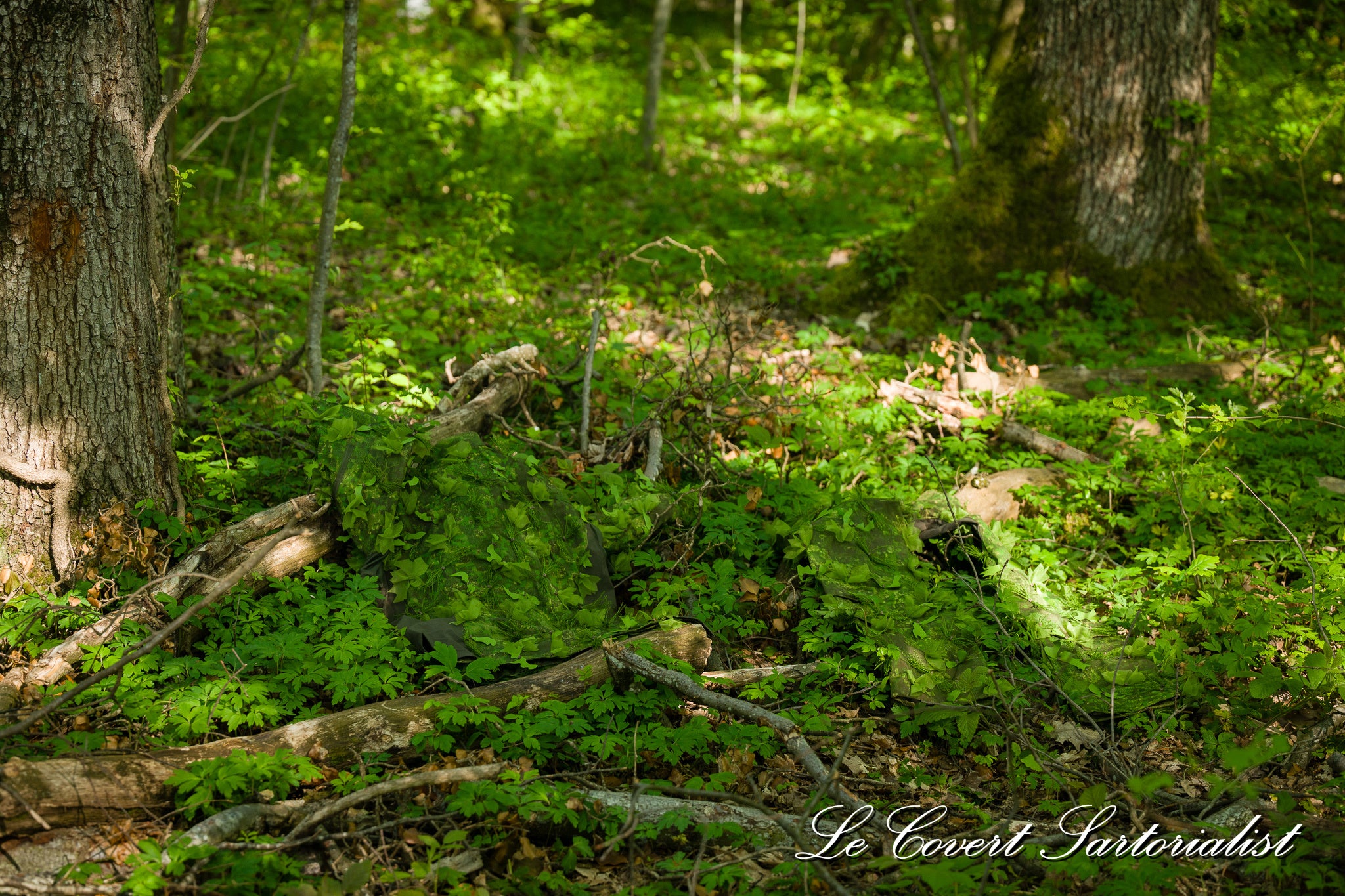 Halo Screen Laser Cut Kit (Tropic)