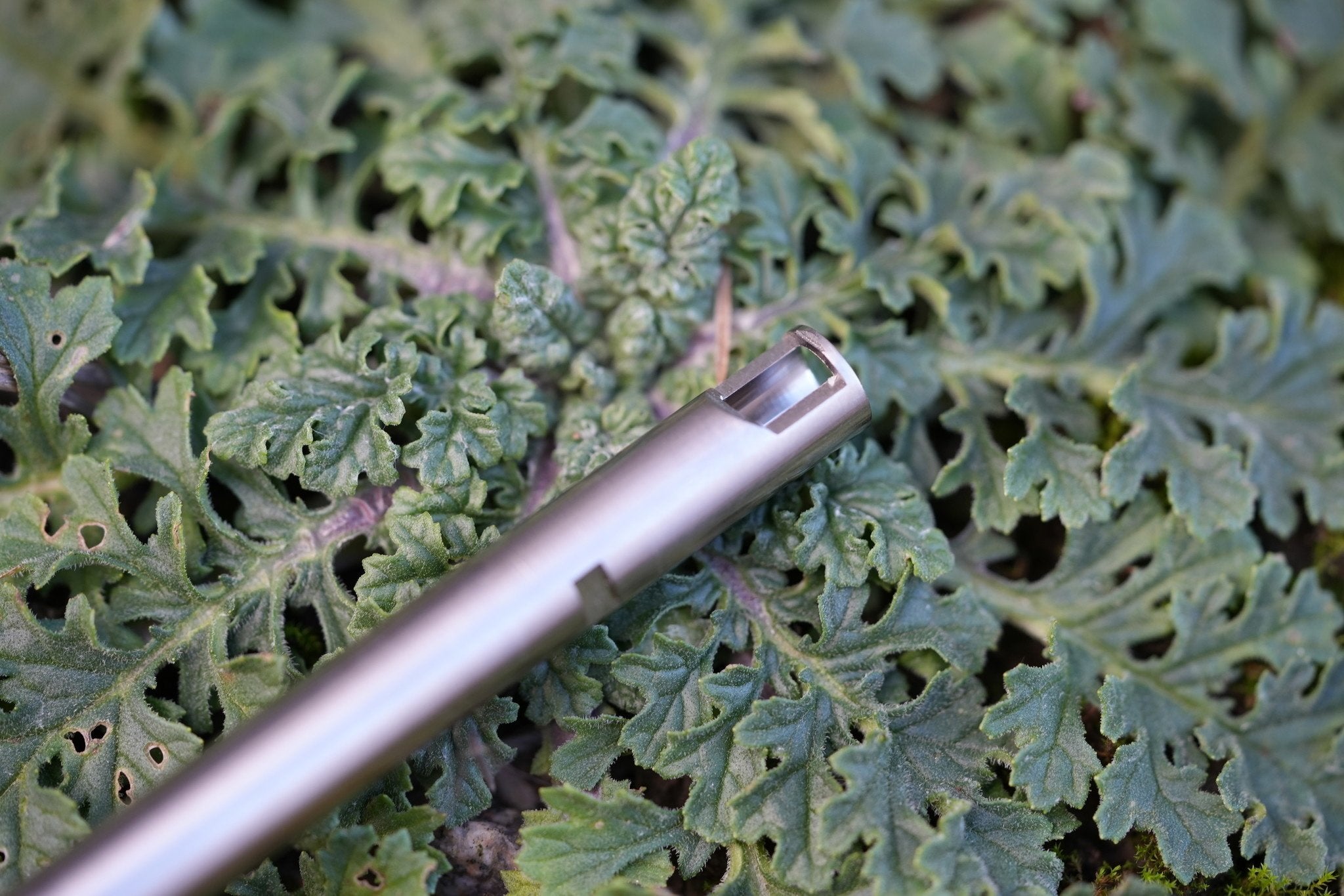 "Morpheus" Carbon Steel 330mm TAC-41-A