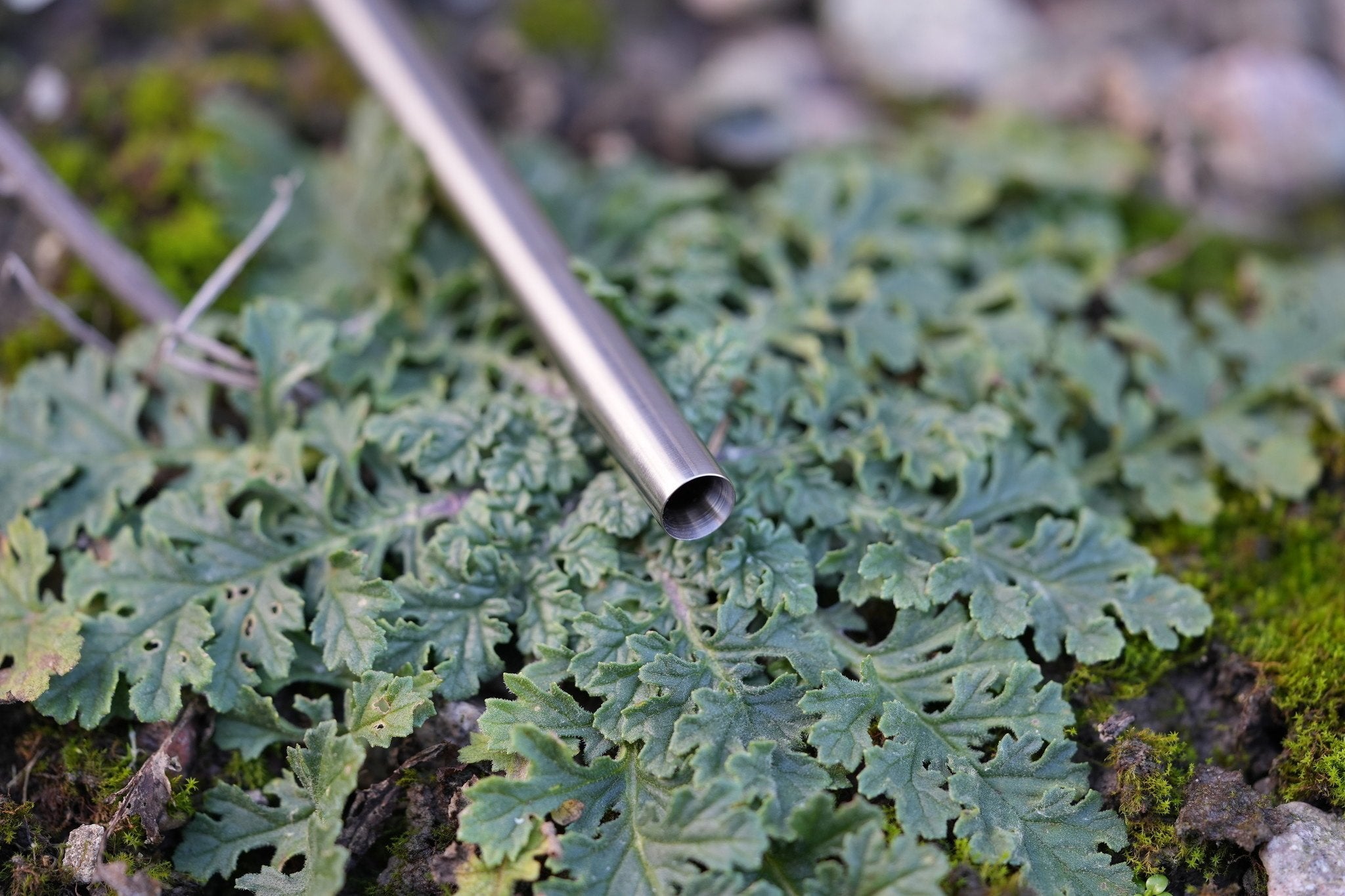 "Morpheus" Kohlenstoffstahl 500mm M14 / MK12