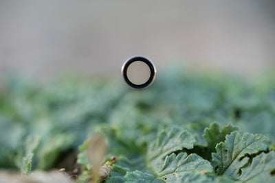 “Morpheus” Carbon Steel 185mm