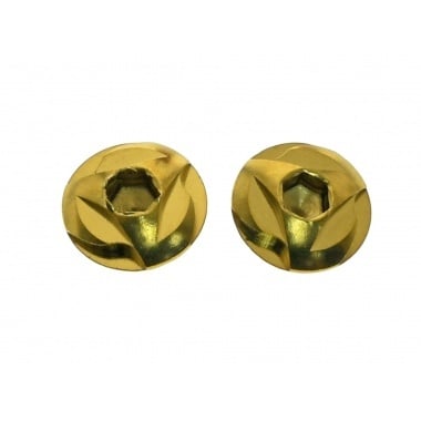 Stainless Steel Grip Screw - Gold