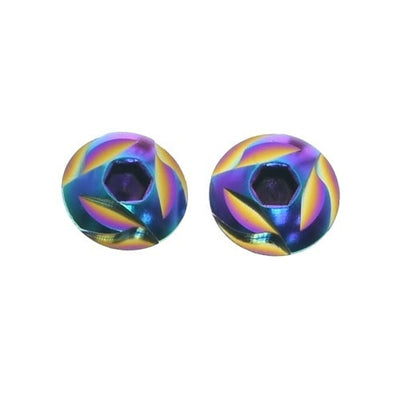 Edelstahl-Griffschraube - Regenbogenfarben