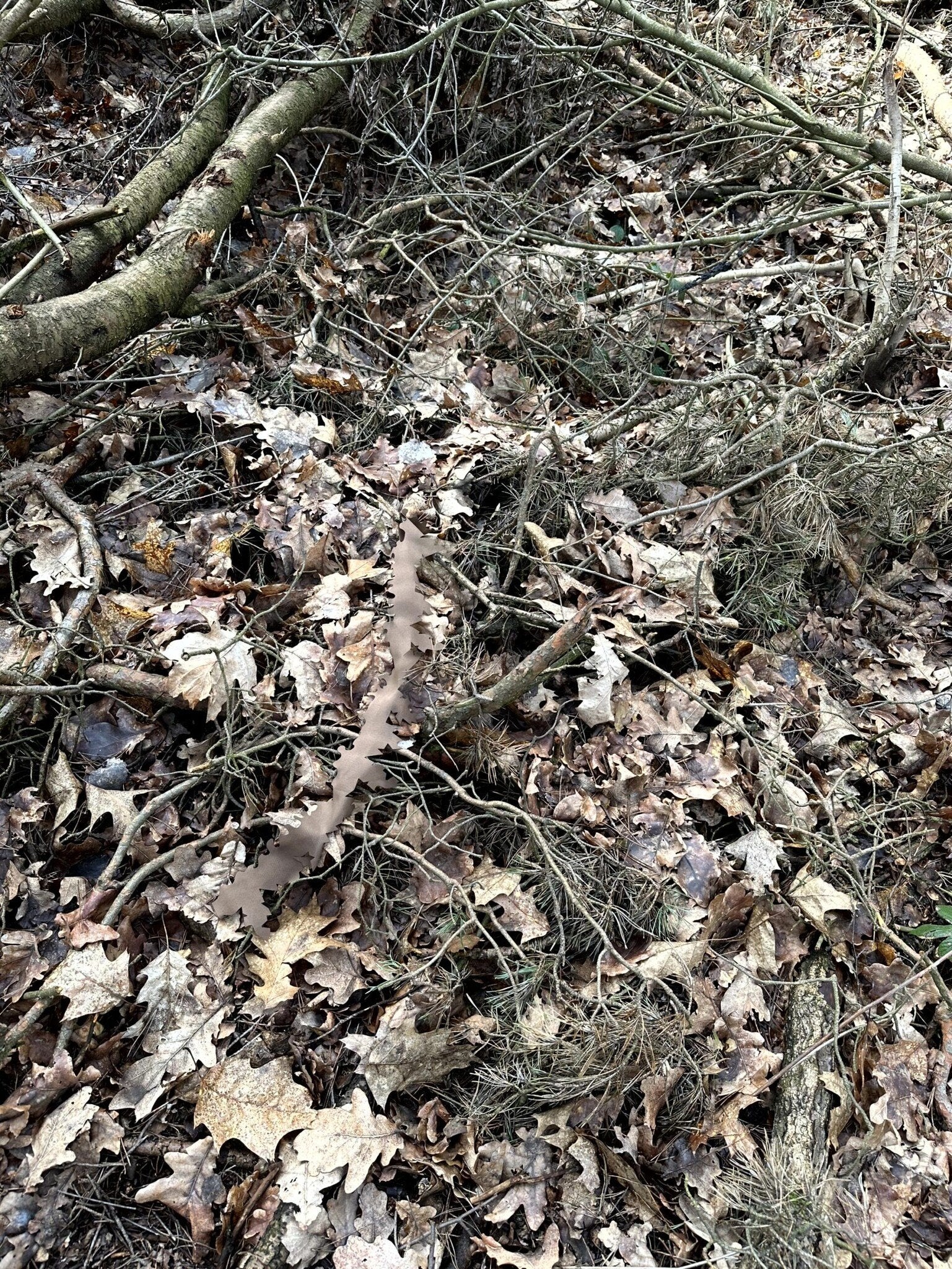 Oak Master 3D Garlands High Contrast Brown