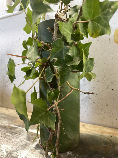 RCP - Kit de patchs de camouflage réutilisables