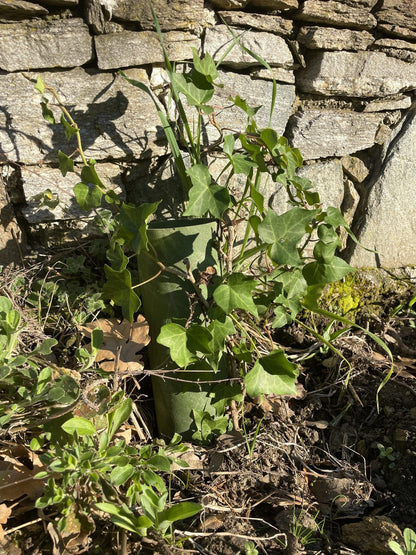 RCP - Kit de patchs de camouflage réutilisables
