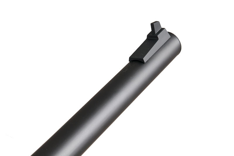 VSR-10 - Tireur d'élite professionnel