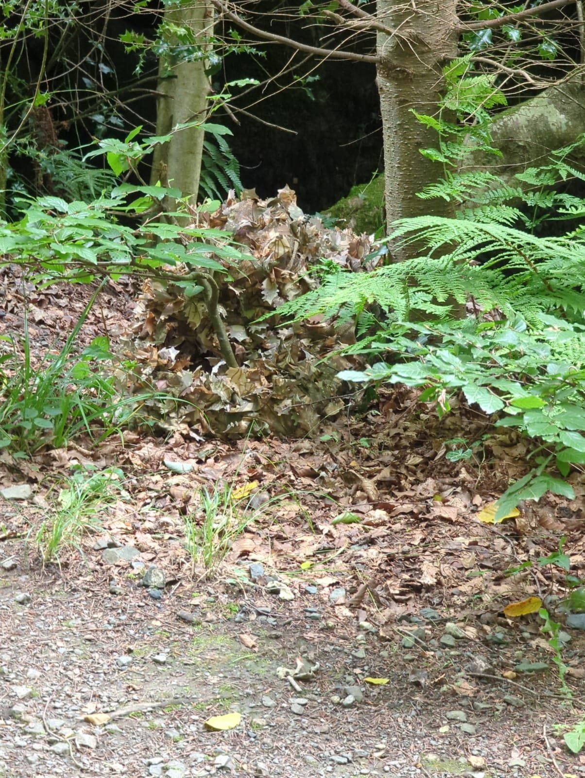 Pantalon de combat Brown Oak - XXL 