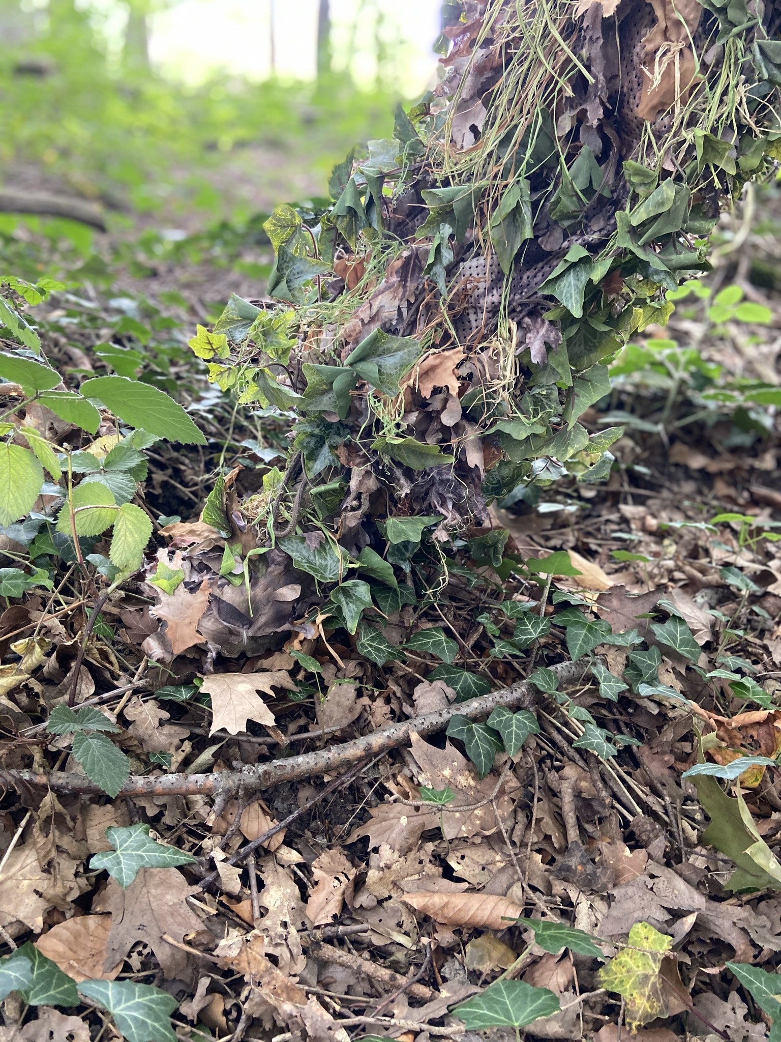 High Quality Artificial Ivy