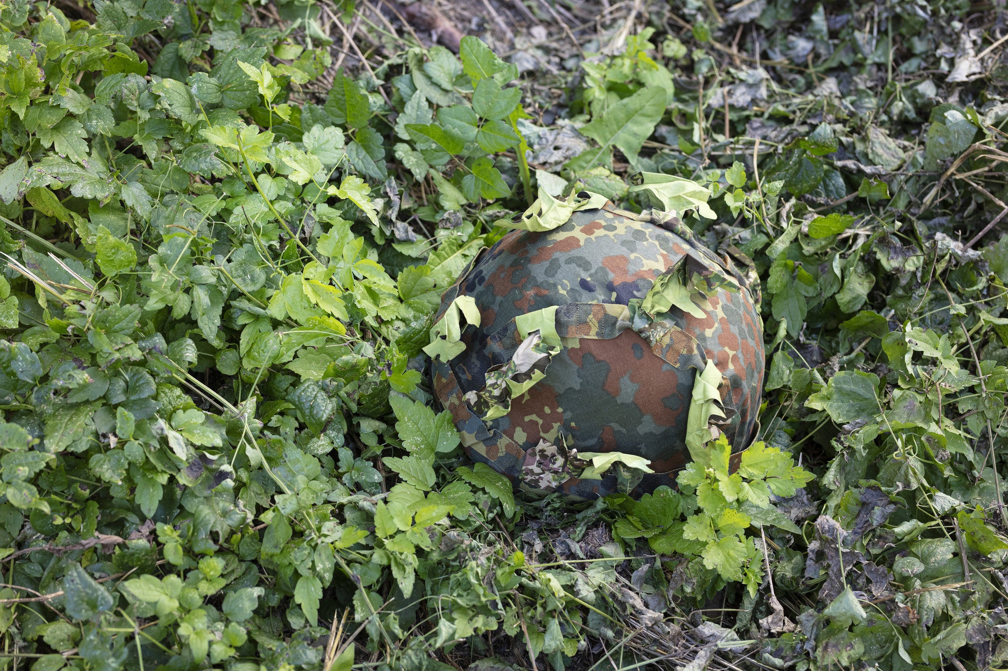 ConCamo Eichengrünes Blattbündel