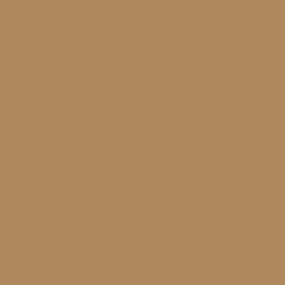 Army Paint Brown Beige RAL 1011