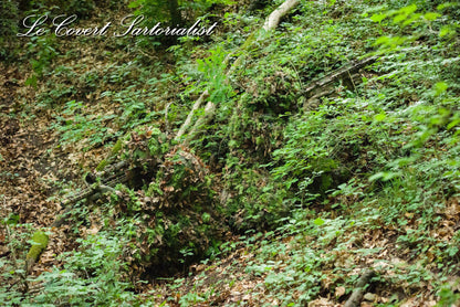 Halo Screen Starter Kit