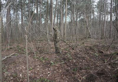 Alder Leaf Suit