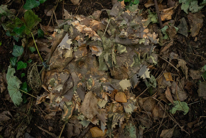 Cagoule en chêne brun