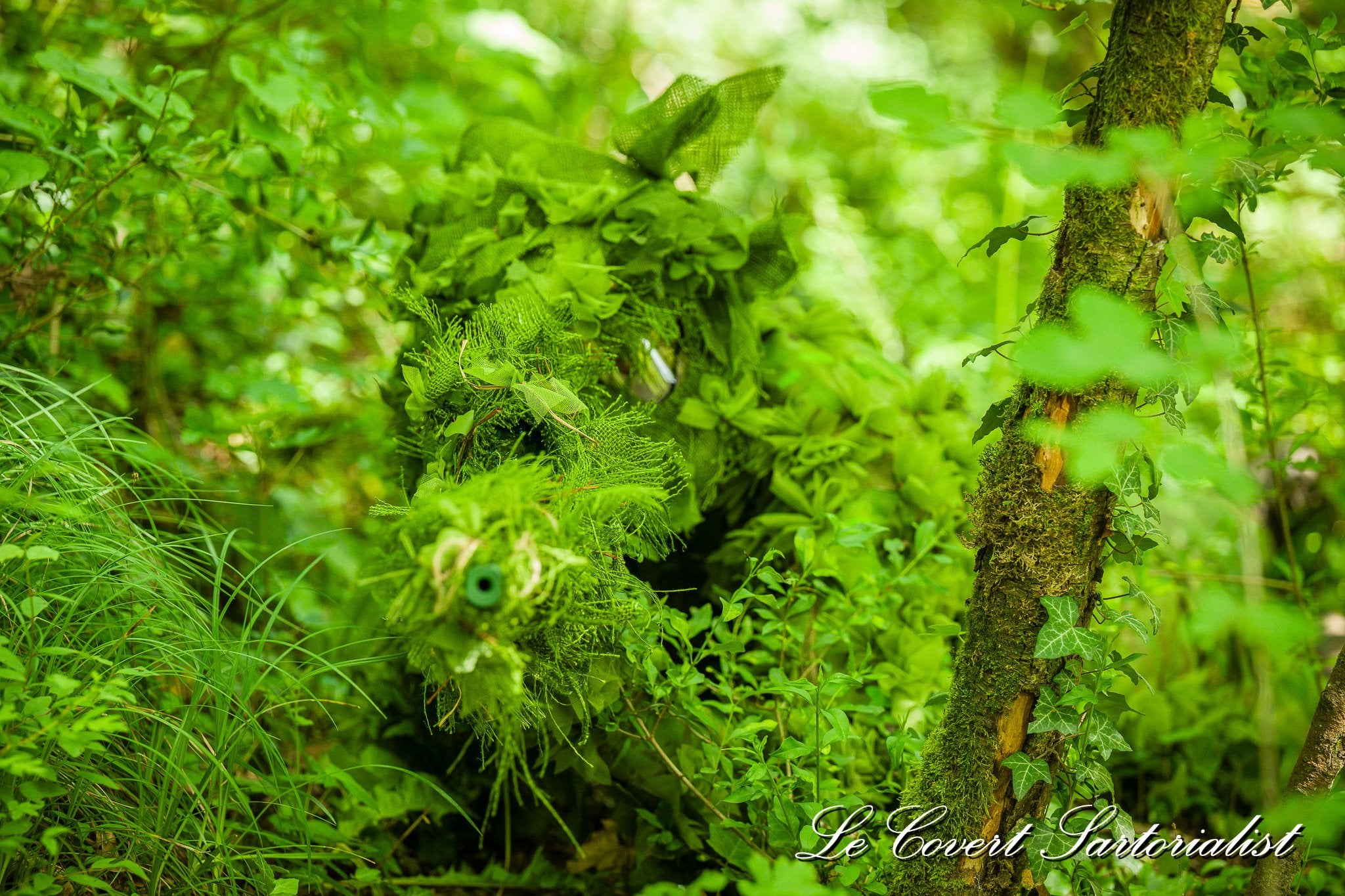 Halo Screen Starter Kit  (Tropic)