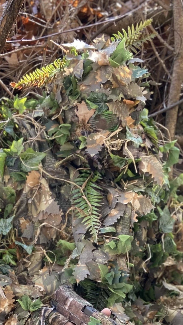 High Quality Artificial Ferns