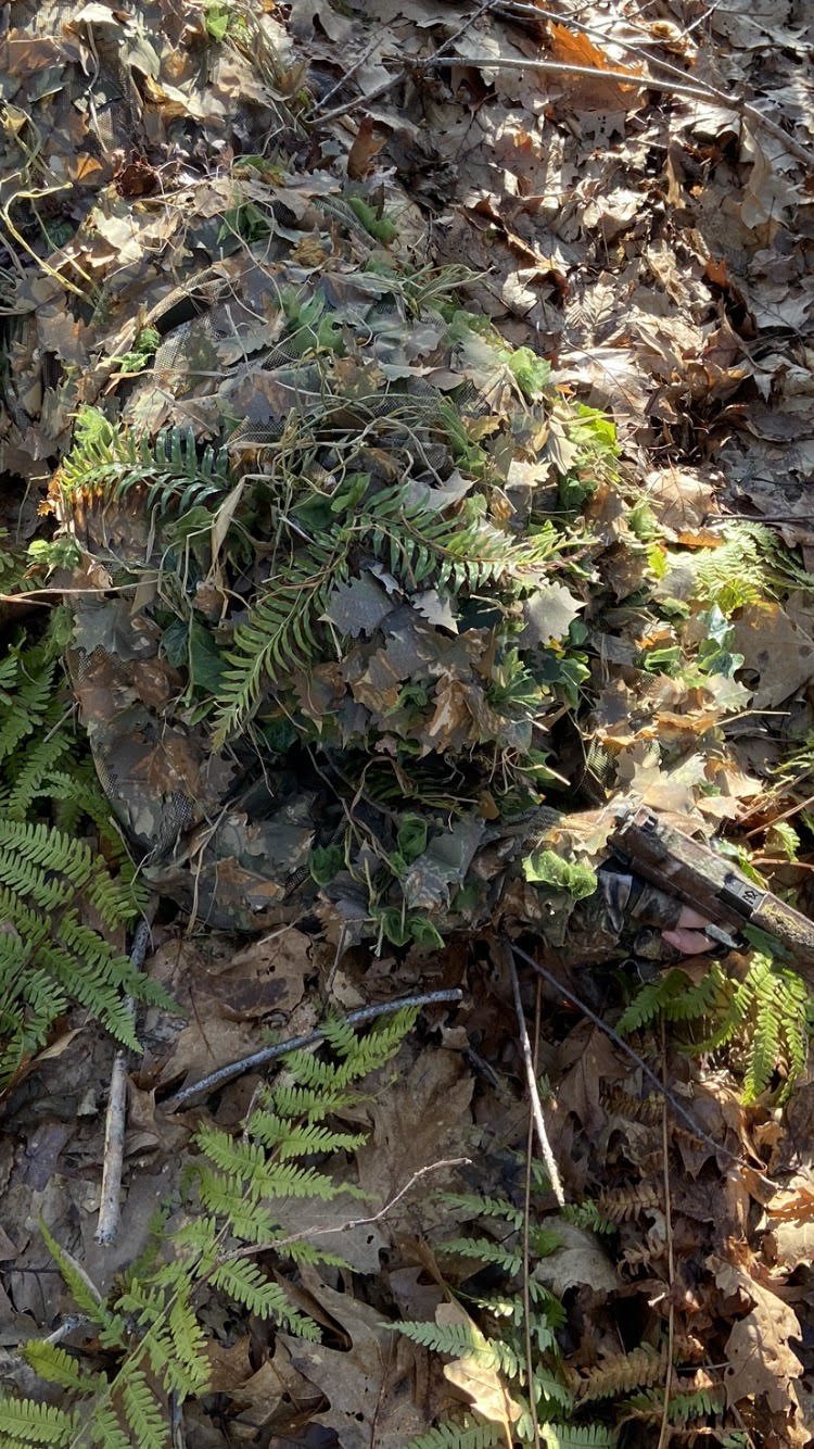 High Quality Artificial Ferns